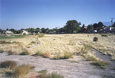 Back field of the Cactus