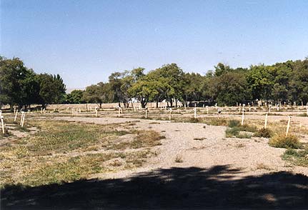 Field looking west